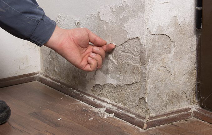 Reasons Why Damp Proofing Is Necessary